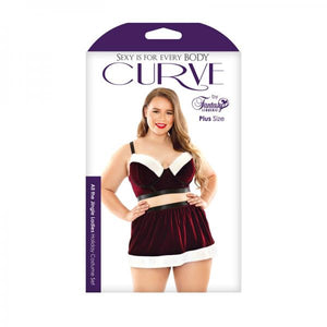 All The Jingle Ladies Costume Set; Long Line Bra, Garter Skirt, And Pant